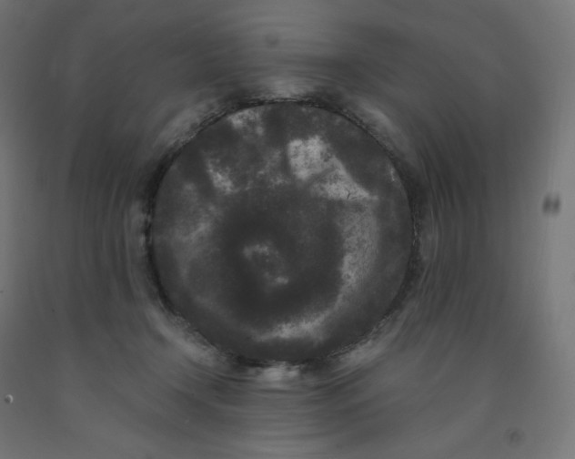 X0000091880366200710031746