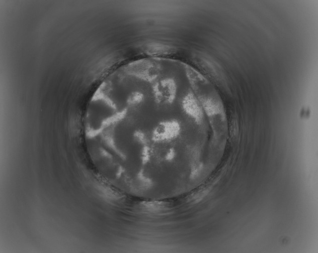 X0000091880367200710031746