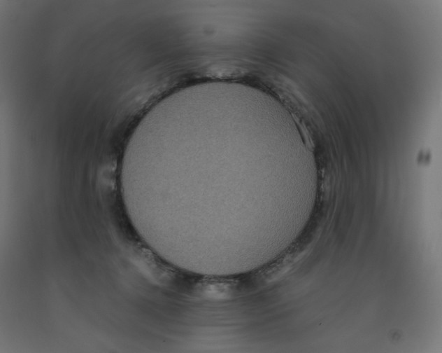 X0000091880368200710031746