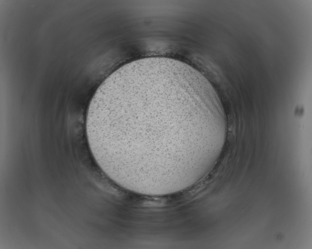 X0000091880369200710031746