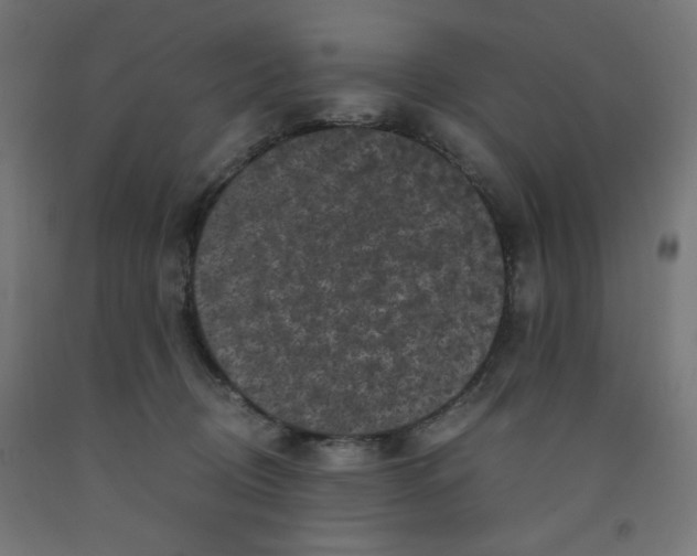 X0000091880370200710031746