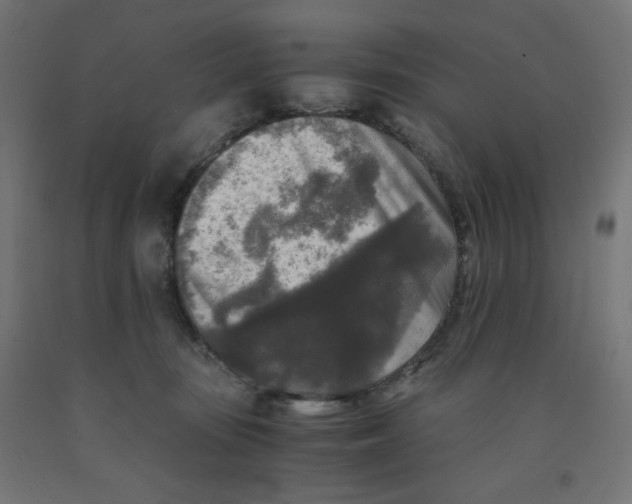 X0000091880371200710031746