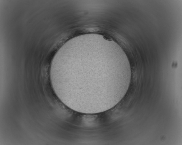 X0000091880373200710031746