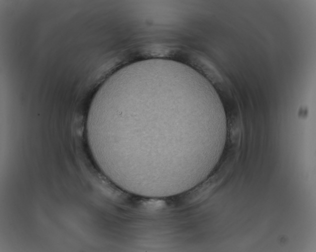 X0000091880374200710031746