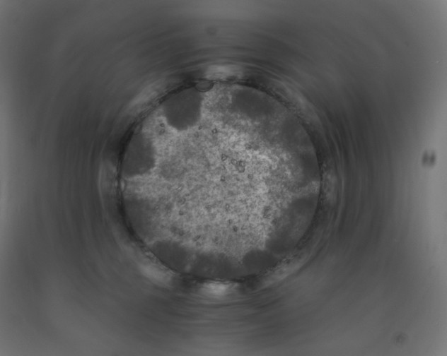 X0000091880375200710031746