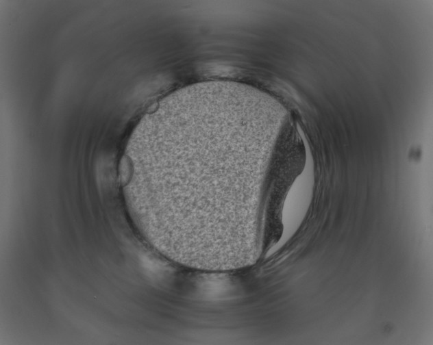 X0000091880377200710031746