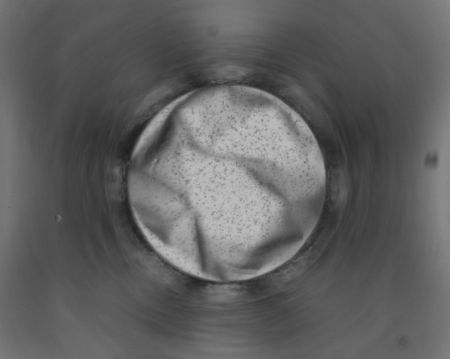 X0000091880378200710031746