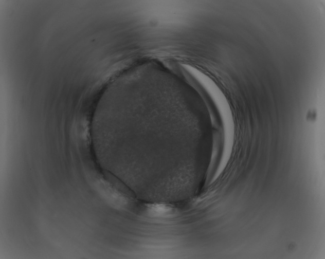 X0000091880380200710031746