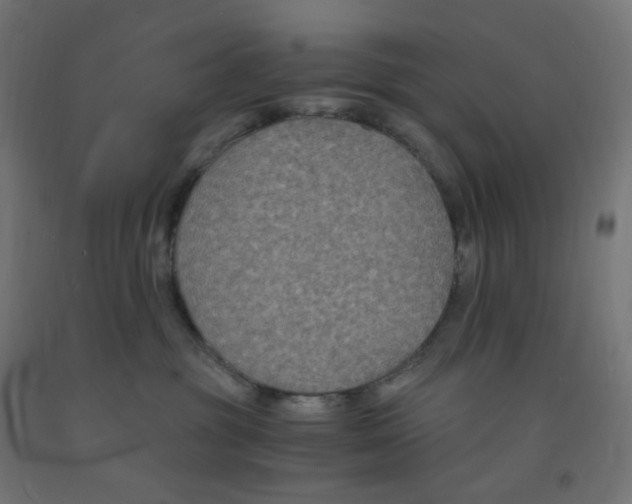 X0000091880381200710031746