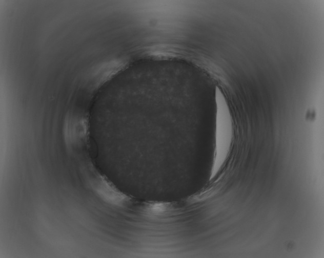 X0000091880382200710031746