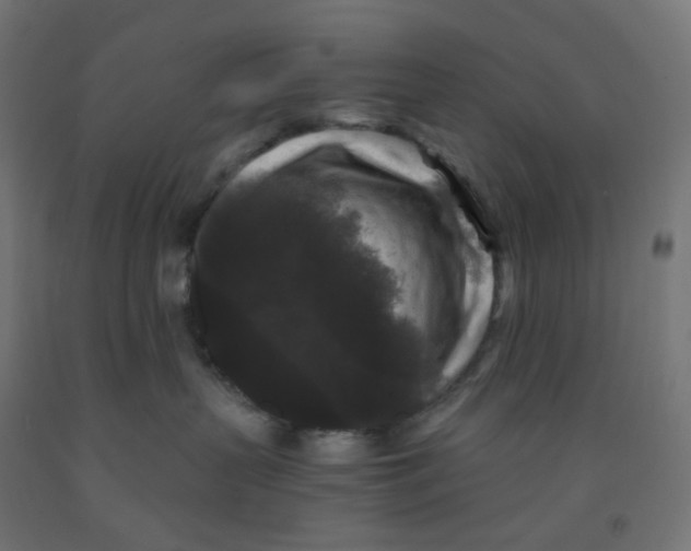 X0000091880383200710031746