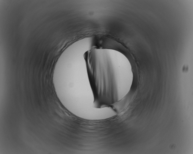 X0000091880384200710031746