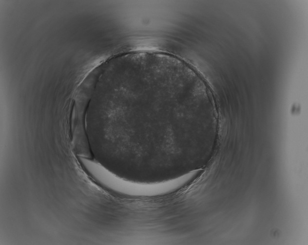 X0000091880385200710031746