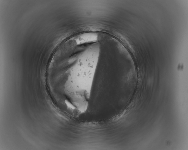 X0000091880386200710031746