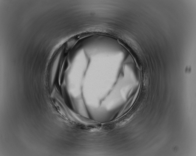 X0000091880388200710031746