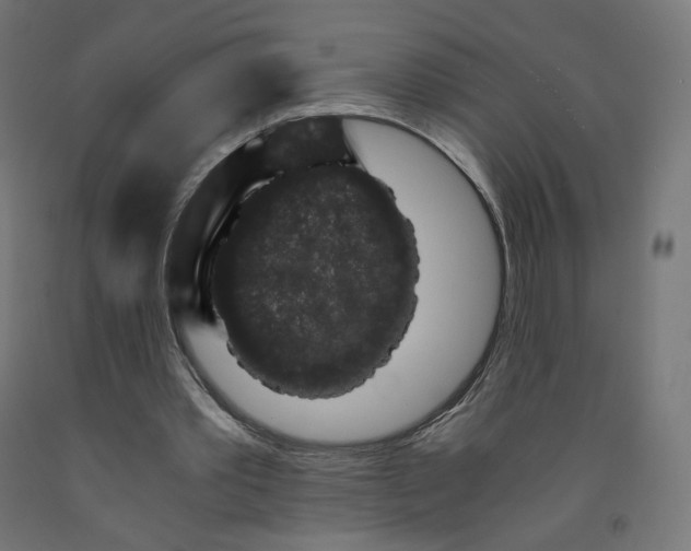 X0000091880389200710031746