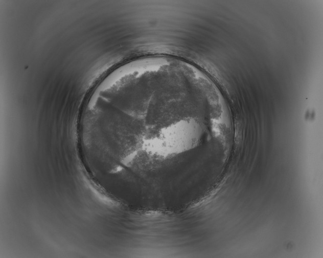 X0000091880390200710031746