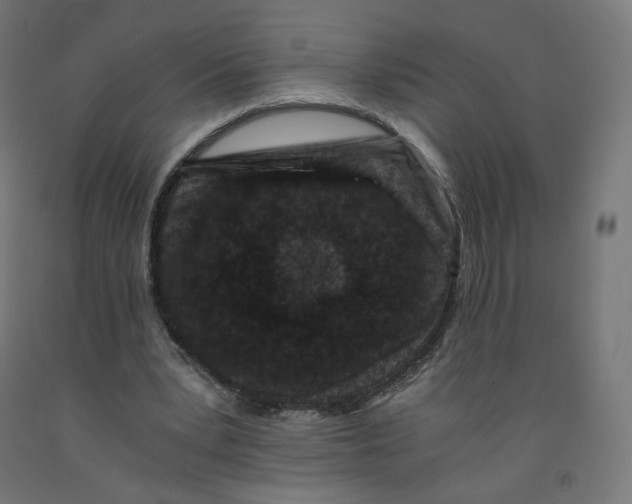 X0000091880391200710031746