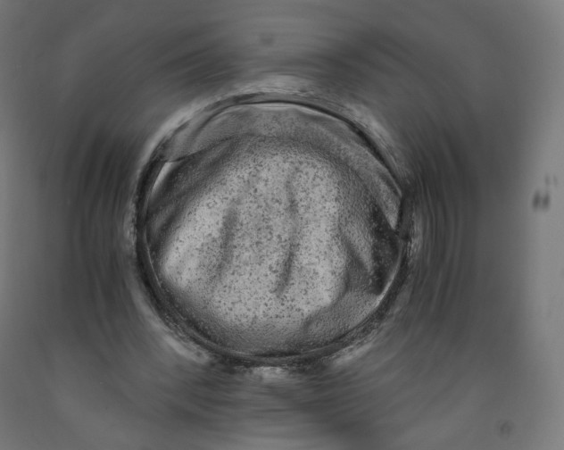 X0000091880392200710031746