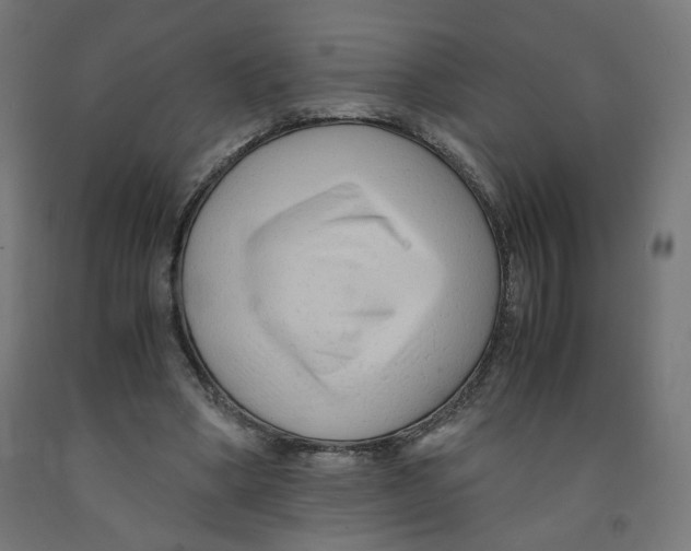 X0000091880394200710031746