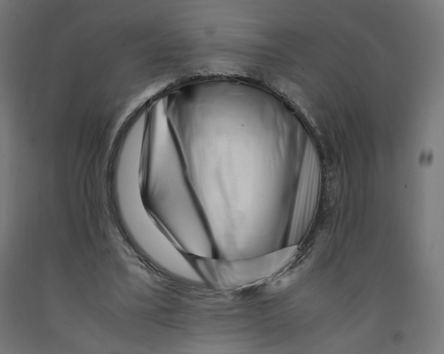 X0000091880395200710031746