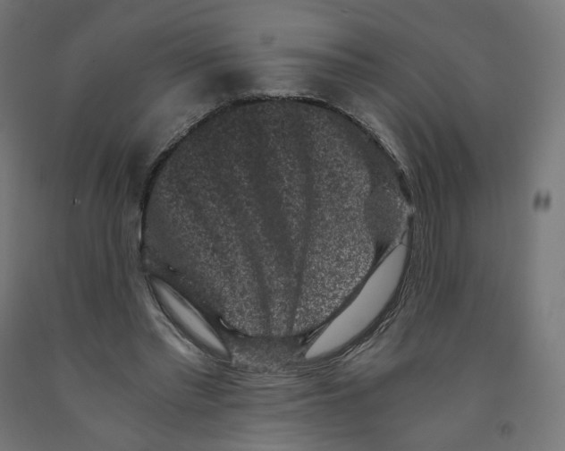 X0000091880397200710031746