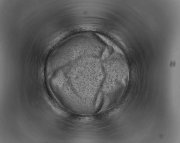 X0000091880398200710031746