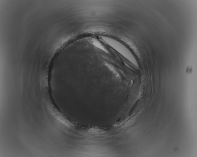 X0000091880399200710031746