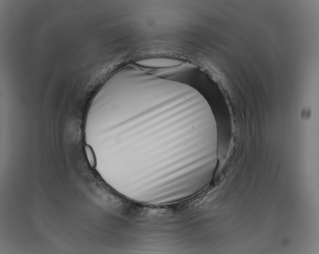 X0000091880401200710031746