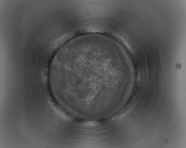 X0000091880402200710031745