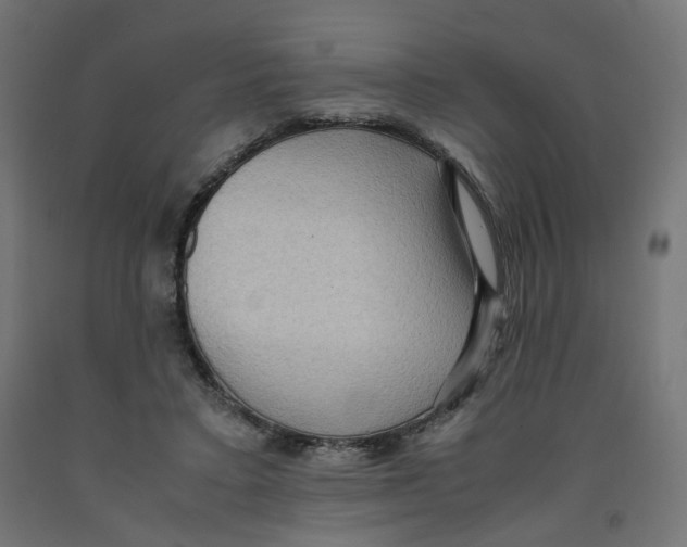 X0000091880403200710031745