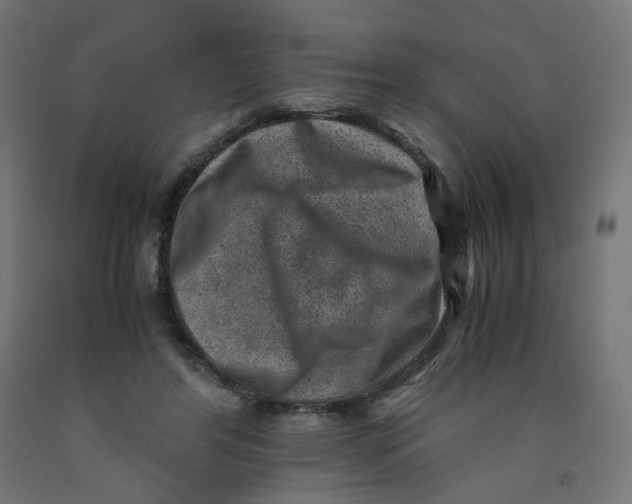 X0000091880404200710031745