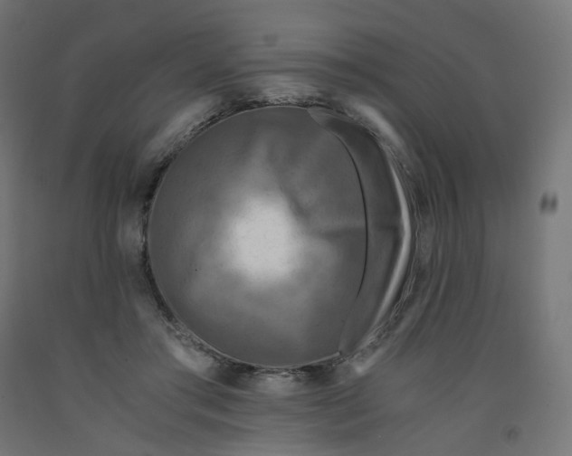 X0000091880405200710031745