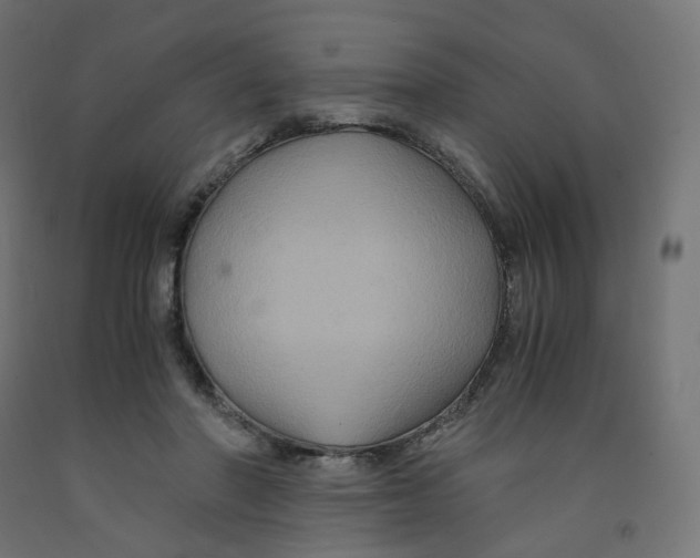 X0000091880406200710031745