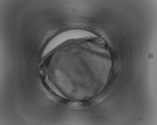 X0000091880407200710031745