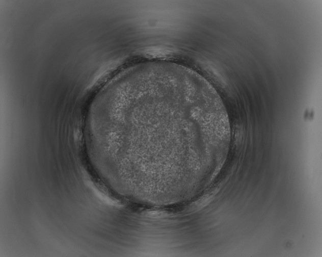 X0000091880408200710031745