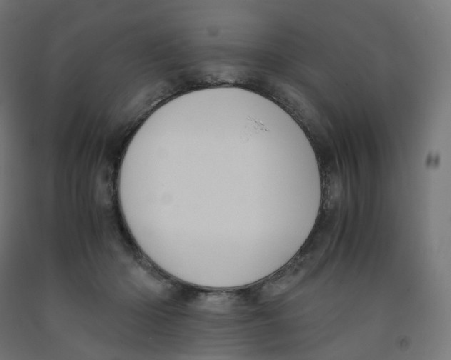 X0000091880414200710031745