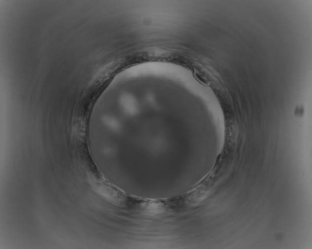 X0000091880419200710031745