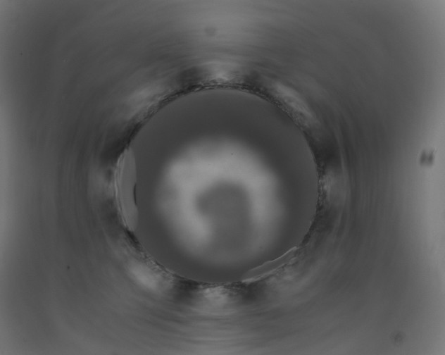 X0000091880423200710031745