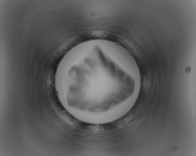 X0000091880424200710031745