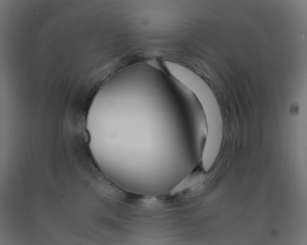 X0000091880425200710031745