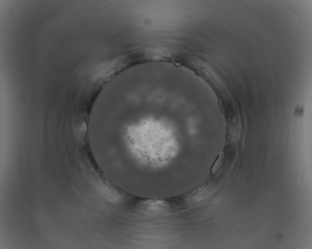 X0000091880427200710031745