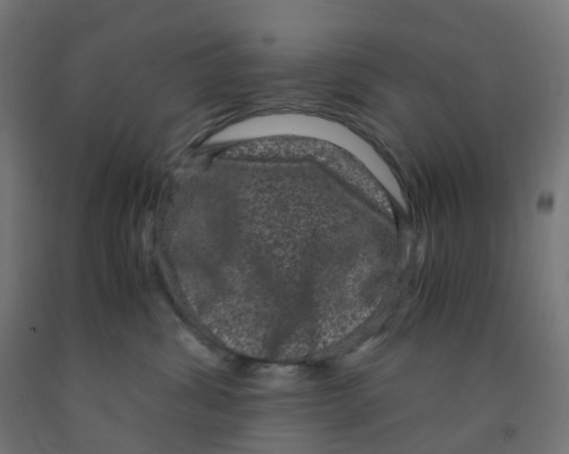 X0000091880428200710031745