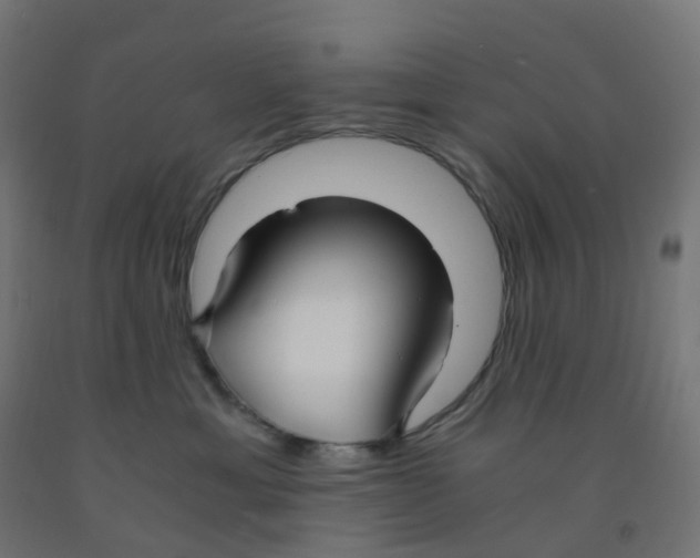 X0000091880429200710031745