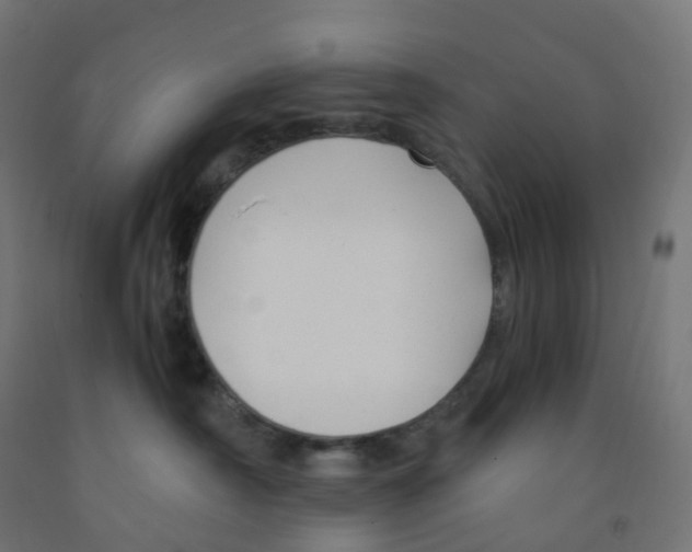 X0000091880430200710031745