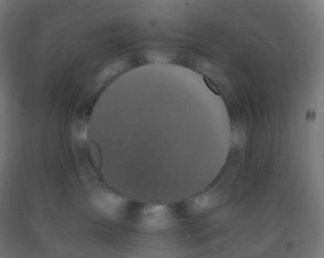 X0000091880431200710031745