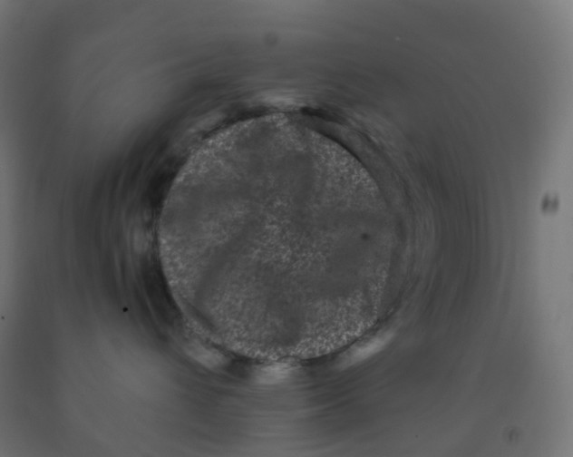 X0000091880432200710031745