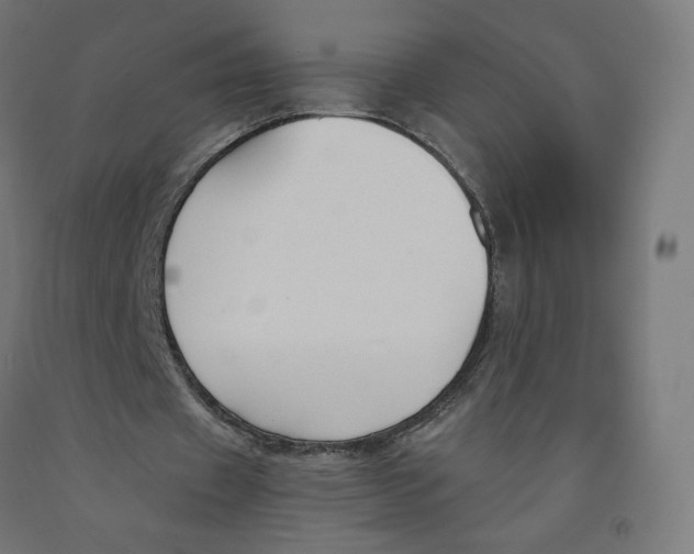 X0000091880433200710031744