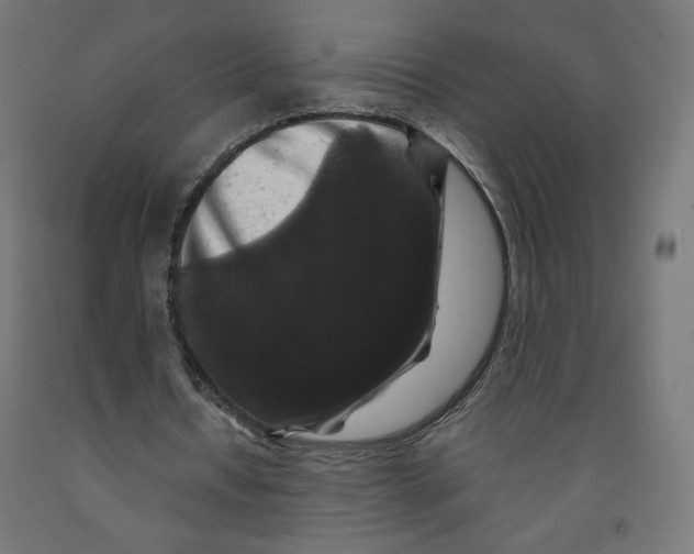 X0000091880434200710031744