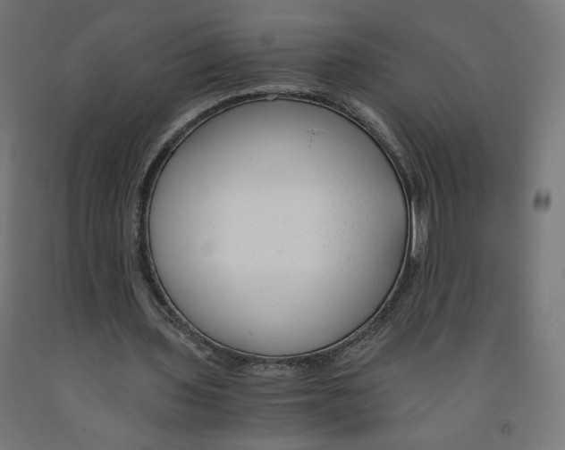 X0000091880435200710031744